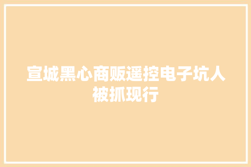 宣城黑心商贩遥控电子坑人被抓现行