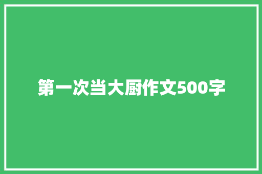 第一次当大厨作文500字