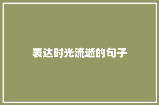 表达时光流逝的句子