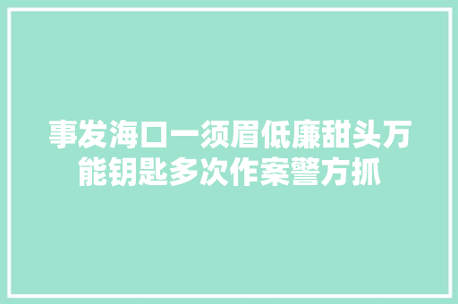 事发海口一须眉低廉甜头万能钥匙多次作案警方抓