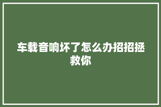 车载音响坏了怎么办招招拯救你 汽车知识