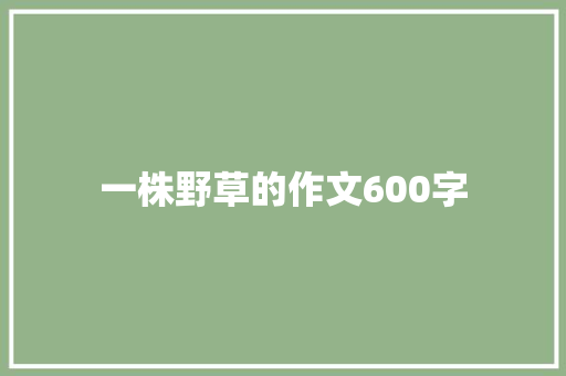 一株野草的作文600字