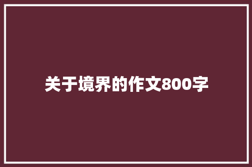关于境界的作文800字