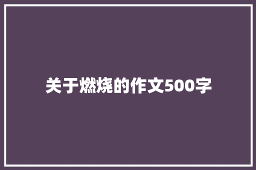 关于燃烧的作文500字