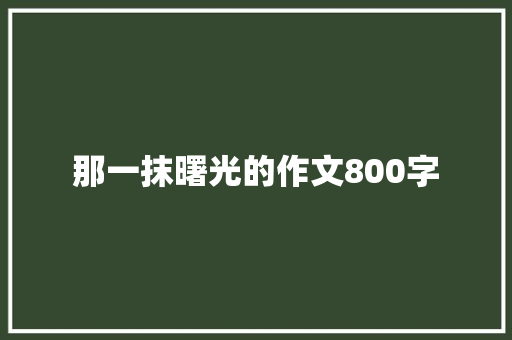 那一抹曙光的作文800字