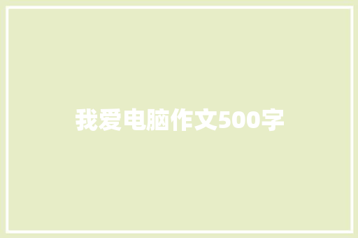 我爱电脑作文500字