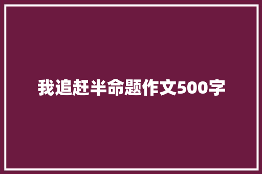 我追赶半命题作文500字