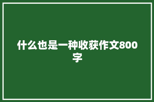什么也是一种收获作文800字