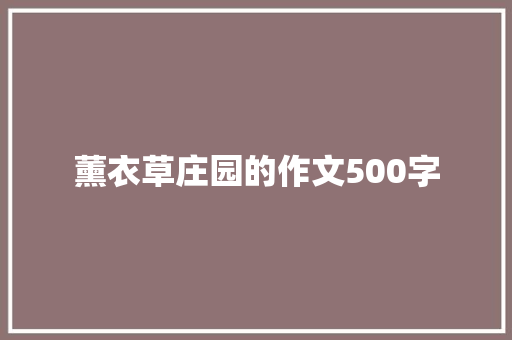 薰衣草庄园的作文500字