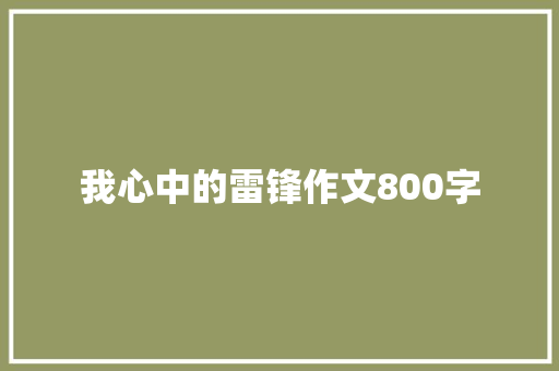 我心中的雷锋作文800字