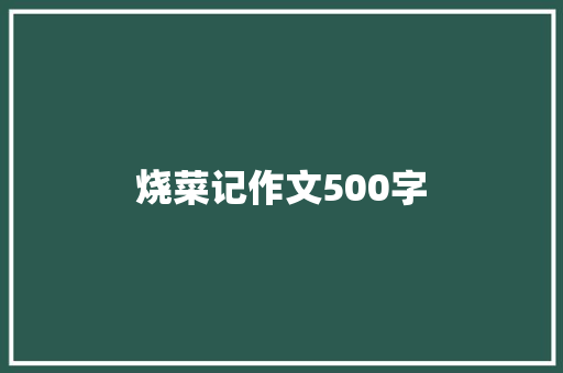 烧菜记作文500字