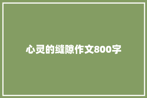 心灵的缝隙作文800字