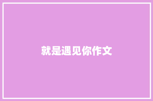 就是遇见你作文