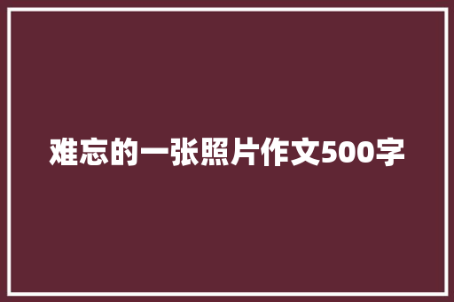 难忘的一张照片作文500字