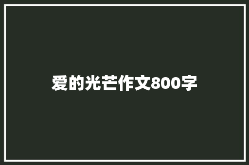爱的光芒作文800字