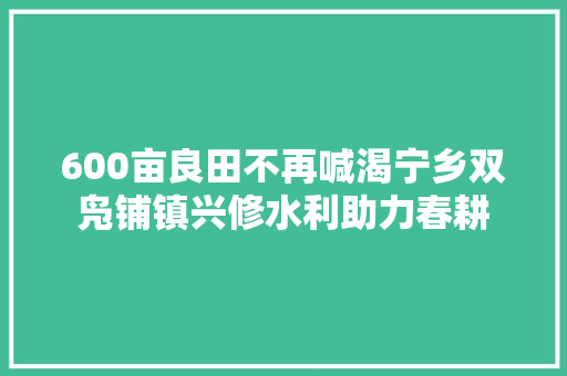 600亩良田不再喊渴宁乡双凫铺镇兴修水利助力春耕