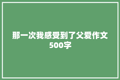 那一次我感受到了父爱作文500字
