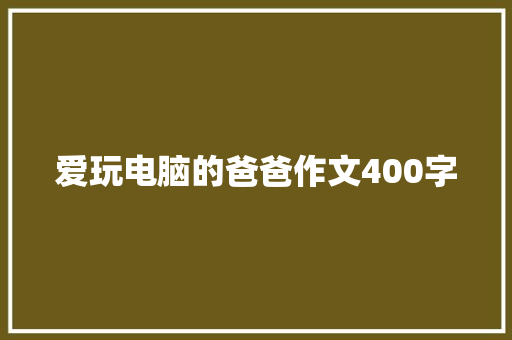 爱玩电脑的爸爸作文400字