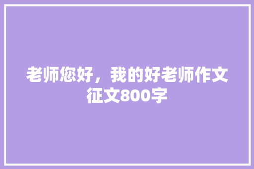 老师您好，我的好老师作文征文800字