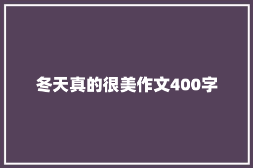 冬天真的很美作文400字
