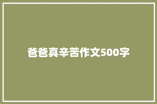爸爸真辛苦作文500字