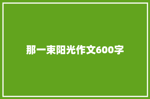 那一束阳光作文600字