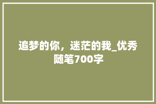 追梦的你，迷茫的我_优秀随笔700字