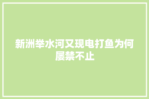 新洲举水河又现电打鱼为何屡禁不止