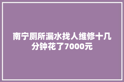 南宁厕所漏水找人维修十几分钟花了7000元 汽车知识