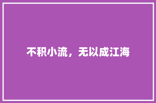 不积小流，无以成江海