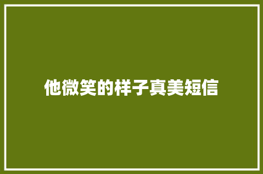 他微笑的样子真美短信