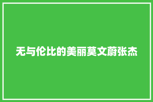 无与伦比的美丽莫文蔚张杰