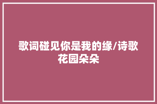 歌词碰见你是我的缘/诗歌花园朵朵 休闲娱乐