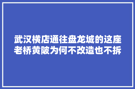 武汉横店通往盘龙城的这座老桥黄陂为何不改造也不拆除呢