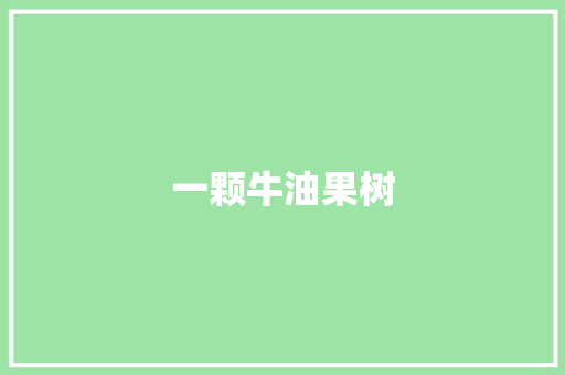 一颗牛油果树