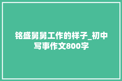 铭盛舅舅工作的样子_初中写事作文800字