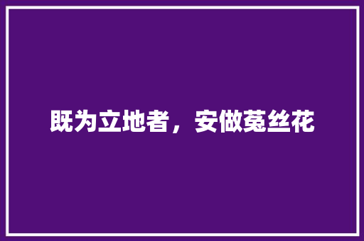 既为立地者，安做菟丝花
