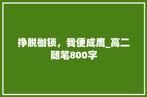 挣脱枷锁，我便成鹰_高二随笔800字