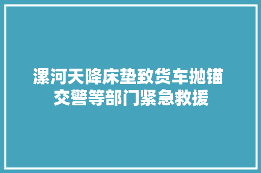 漯河天降床垫致货车抛锚 交警等部门紧急救援