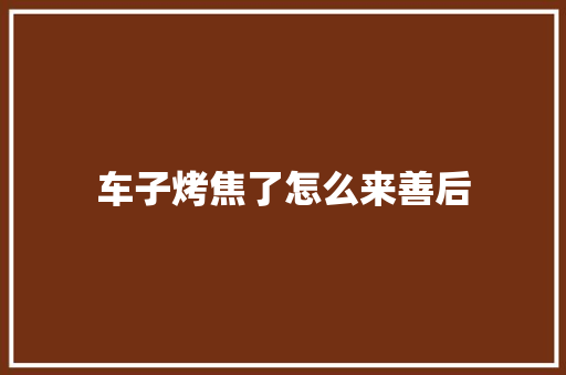 车子烤焦了怎么来善后