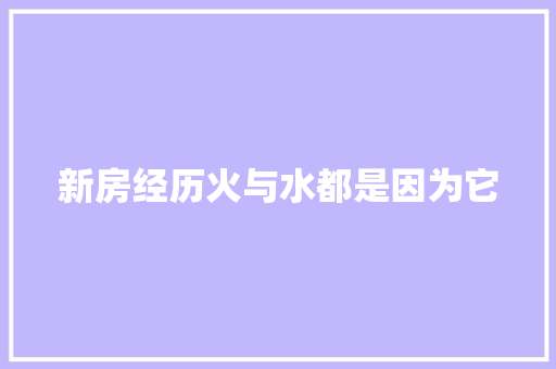新房经历火与水都是因为它 汽车知识