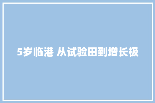 5岁临港 从试验田到增长极 汽车知识