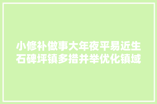 小修补做事大年夜平易近生石碑坪镇多措并举优化镇域门路