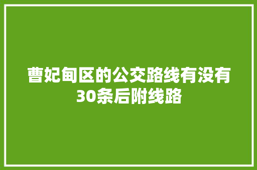 曹妃甸区的公交路线有没有30条后附线路