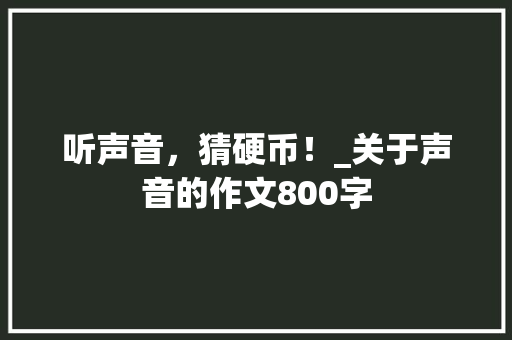 听声音，猜硬币！_关于声音的作文800字
