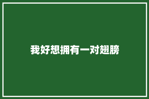 我好想拥有一对翅膀