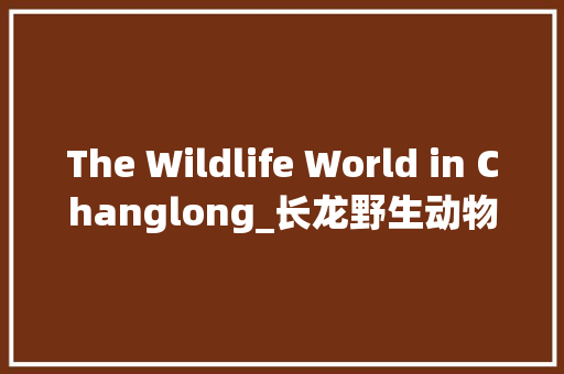 The Wildlife World in Changlong_长龙野生动物世界英语作文50字