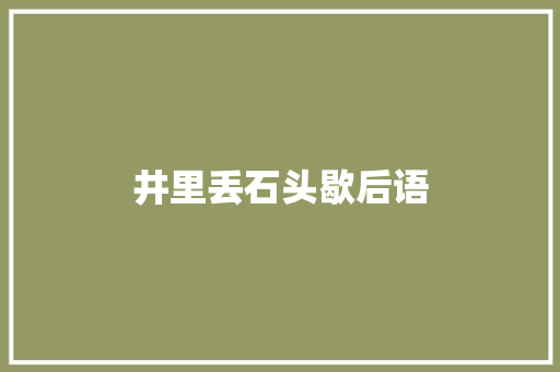井里丢石头歇后语