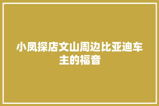 小凤探店文山周边比亚迪车主的福音