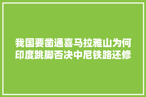 我国要凿通喜马拉雅山为何印度跳脚否决中尼铁路还修不修